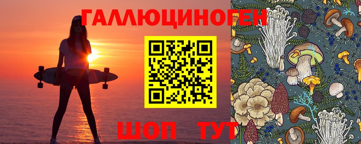 Галлюциногенные грибы мухоморы Донской